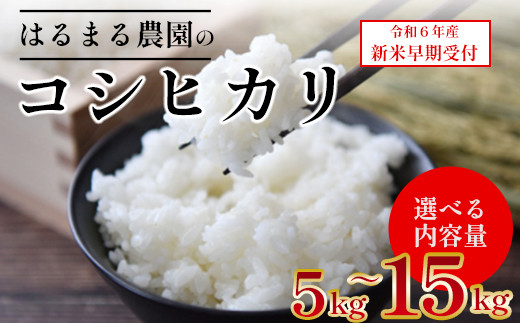 ふるさと納税 令和6年産 特別栽培米コシヒカリ 5kg ×2袋（無洗米） ※2024年9月20日以降順次発送 [B-005002] 福井県勝山市  :1135813:ふるなび(ふるさと納税) - 通販 - Yahoo!ショッピング | chizai.information.jp