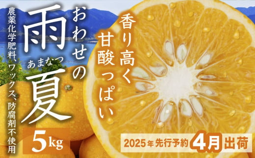 先行予約 ４月出荷】 おわせの雨夏（あまなつ） 5kg 無農薬 ワックス・防腐剤不使用 木成り 完熟 甘夏 ギフト 贈答 日用 でも使える 三重 尾鷲  の 柑橘 特産品 TK-13 - 三重県尾鷲市｜ふるさとチョイス - ふるさと納税サイト