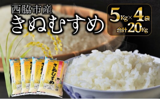 ブランド米 きぬむすめ】精米20kg（5kg×4）(26-20) - 兵庫県西脇市｜ふるさとチョイス - ふるさと納税サイト