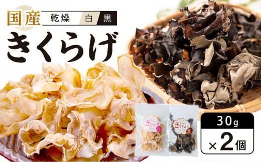 yszY 炰 EZbg 30g×2 (v60g)