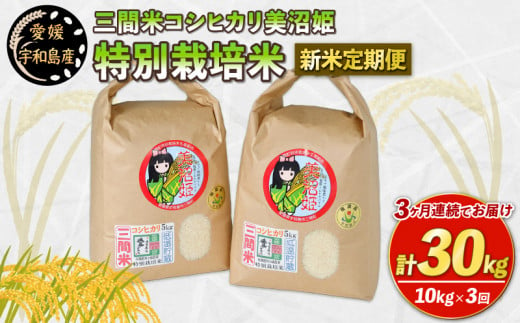 新米 3回 定期便 特別栽培米 コシヒカリ 計 30kg 三間町特別栽培米生産組合 美沼姫 新米 米定期便 人気の米 kome ブランド米 特別栽培  お米 お弁当 おにぎり 玄米 対応可 ふっくら ツヤツヤ 甘い 三間米 米 国産 愛媛 宇和島 G054-032002 - 愛媛県宇和島市｜ふるさと  ...