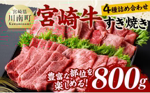 y{茧쒬z{苍ĂHהׂS퐷 v800y   Y јa {苍 Ă Ԃ Ă Hה {茧 쒬 z