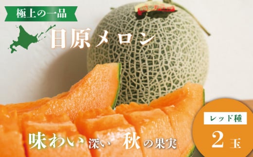 ykCIRzys\zɏ̈iuibhjvi1.7kg×2ʁj@YE003