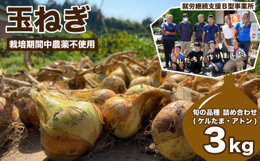 にこまる 10kg×2 農薬不使用 玄米 国産 農家直送 美容 健康 無