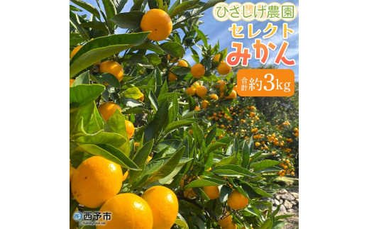 ひさしげ農園 西宇和産セレクトみかんセット - 愛媛県西予市