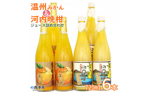 愛媛県産うわごーるど(河内晩柑)ジュース 720ml 12本セット 愛媛県産うわごーるど(河内晩柑)ジュース 720ml 12本セット