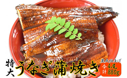 うなぎ蒲焼 4尾 190g〜209g うなぎ蒲焼 4尾 190g〜209g