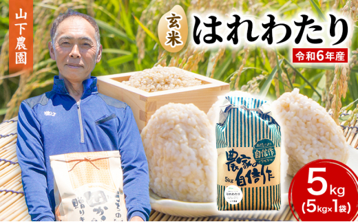 青森県産3年連続特A はれわたり令和6年度産玄米10キロ