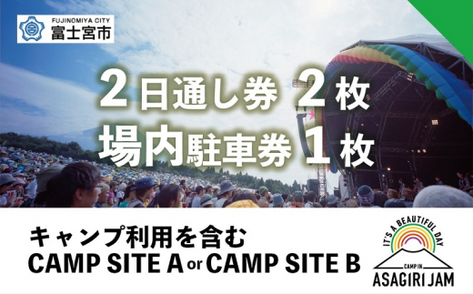 ARABAKI ROCK FEST．25〈入場券〉2日通し券✖️2枚 