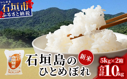 新米 石垣島のひとめぼれ 10kg 【ひとめぼれ 産地直送 新米 お米 米 白米 沖縄県 石垣市 八重山】AE-4-1