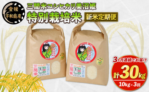 新米 3回 定期便 先行予約 特別栽培米 コシヒカリ 計 30kg 三間町特別栽培米生産組合 美沼姫 新米 米定期便 人気の米 kome ブランド米  特別栽培 お米 お弁当 おにぎり 玄米 対応可 ふっくら ツヤツヤ 甘い 三間米 米 国産 愛媛 宇和島 G054-032002 - 愛媛県宇和島市  ...