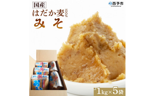 天然醸造 国産はだか麦１００％味噌（１kg×５個）＞ みそ 調味料 みそ汁 発酵 愛媛 西予 - 愛媛県西予市｜ふるさとチョイス - ふるさと納税サイト