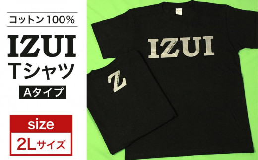 ふるさと納税 服 宮城県 仙台市 仙台弁「 IZUI Tシャツ 」 Aタイプ　2Lサイズ 衣料 ファッション 人気 おすすめ 2Lサイズ 仙台弁「 IZUI Tシャツ 」 Aタイプ 2Lサイズ【衣料 ファッション