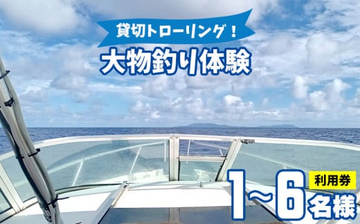 貸切トローリング！「大物釣り体験」1～6名様ご利用券 トローリング ボート 船 ルアー 餌 釣り 外洋 シイラ カツオ キハダマグロ カジキ 回遊魚  釣り竿 フィッシング 沖縄 釣り人 海 魚 貸切 体験 - 沖縄県久米島町｜ふるさとチョイス - ふるさと納税サイト