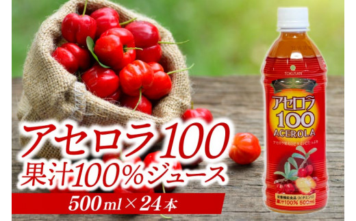 yꌧLszAZ100 Xg[g100%W[X(500ml×24{)bAZ t[c ʕ  AZW[X W[X t[cW[X Xg[g ʏ` ꌧ Ȃ L