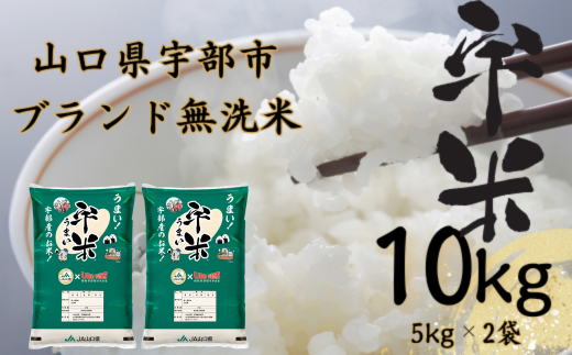 令和6年度新米】【先行予約】【定期便】恋の予感 10kg（5kg×2袋） 隔月×3回（合計30kg）【無洗米】【宇米】※偶数月(2025年2月, 4月,  6月)にお届け 【米 お米 精米 国産米 山口県産米 宇部米 宇米 無洗米 ご飯 コメ ごはん ふっくら 恋の予感 定期便】 - 山口県宇部市 ...