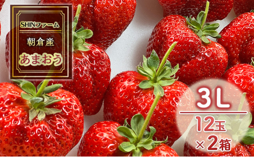 yqsz qsY ܂ 3L 12×2 C`S  ʕ fU[g SHINt@[ zsF