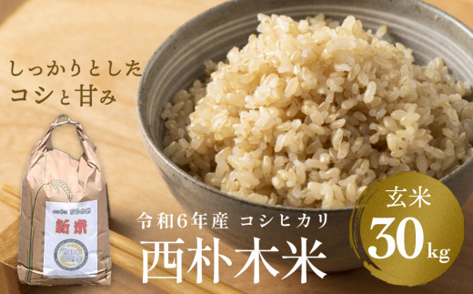 先行予約】令和6年産 西朴木米30kgコシヒカリ 玄米 富山県 氷見市 コシヒカリ 玄米 ＜2024年9月25日以降順次発送予定＞ - 富山県氷見市｜ふるさとチョイス  - ふるさと納税サイト