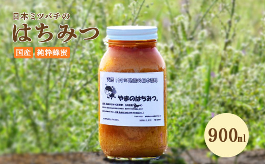 はちみつ 日本蜜蜂の蜂蜜 900ml ハチミツ 蜂蜜 ミツバチ 百花蜜 天然100％ 国産 宮崎 パン トースト ヨーグルト - 宮崎県えびの市｜ ふるさとチョイス - ふるさと納税サイト