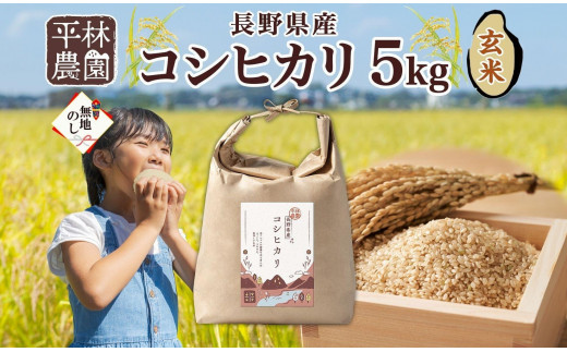 無地熨斗 令和6年産 コシヒカリ 玄米 5kg×1袋 長野県産 米 お米