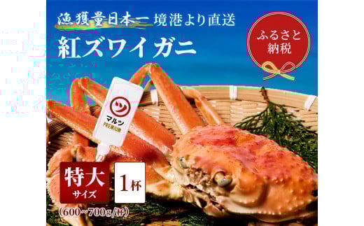 y挧zyIZuzgYCKj@1ti600`700g×1j