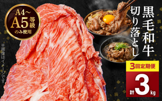 yF{VszS001-001-T03_06_y3zA4`A5 јa ؂藎Ƃ1kgi500g×2Pj3A͂y2026N6Jnz