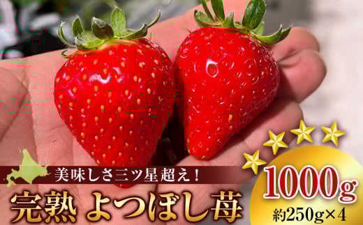 ykCϒOzy2026N3{ȍ~zkCY nڂ(250g×4pbN)