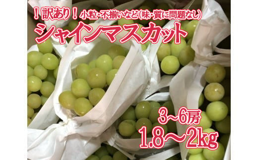 訳あり】シャインマスカット 1.8kg～2kg (3～6房) 【8月下旬以降発送予定】 訳アリ 訳あり品 シャイン マスカット ぶどう ブドウ 葡萄  徳用 家庭用 ご家庭用 旬 新鮮 約2kg 約1.8kg 約1.9kg くだもの 果物 フルーツ 山梨 やまなし 富士川町 -  山梨県富士川町｜ふるさと ...