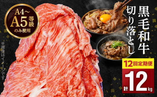 yF{VszS001-001-T12_06_y12zA4`A5 јa ؂藎Ƃ1kgi500g×2Pj12A͂y2026N6Jnz