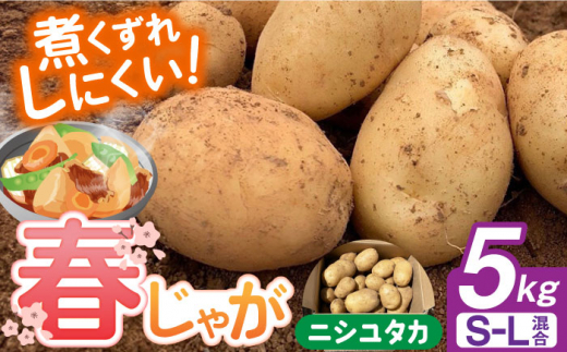 馬鈴薯デジマSサイズ8kg 掘りたて】種子島産 新じゃがいも 2S・S