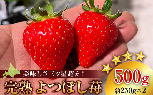 静岡県より産地直送 JAふじ伊豆 紅ほっぺ DX＋きらぴ香 DX（260g