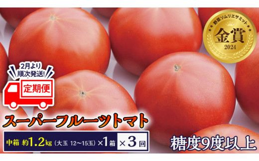 糖度9度以上 トマト 【 2025年収穫分 先行予約 】 【 定期便 】 スーパーフルーツトマト 中箱 約1.2kg×1箱×3回 お届け！ 糖度9度以上  フルーツトマト トマト 2025年2月上旬発送開始 とまと 野菜 [BC049sa] - 茨城県桜川市｜ふるさとチョイス - ふるさと納税サイト