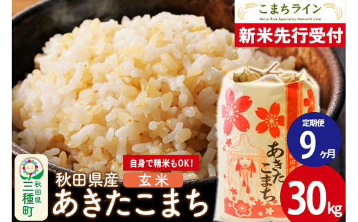 新米先行受付》《定期便9ヶ月》【玄米】あきたこまち 30kg 秋田県産 令和6年産 こまちライン - 秋田県三種町｜ふるさとチョイス -  ふるさと納税サイト