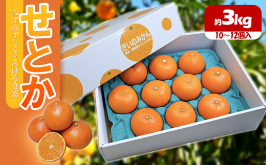 sd1_d1b37d17a331fa6bd27f24896c