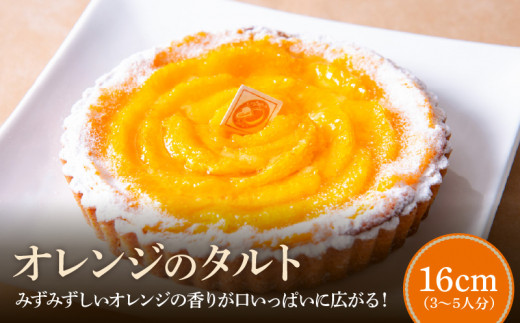 yޗǌszIW̃^g16p