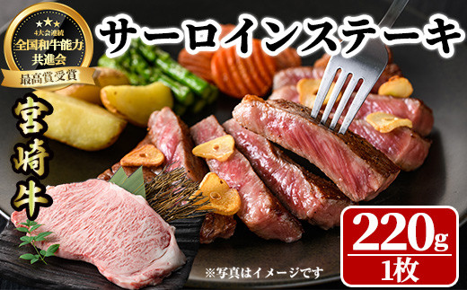 宮崎牛 サーロインステーキ(計400g・2枚) 希少部位 BBQ 牛肉 肉 ブランド牛 冷凍 国産 精肉 お取り寄せ 黒毛和牛 宮崎県  【LJ015】【レグセントジョイラー株式会社】 - 宮崎県日之影町｜ふるさとチョイス - ふるさと納税サイト