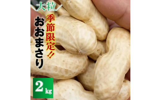 ytَRszs\2026N8{菇󂠂聄_̑嗱Ԑu܂v 2kgy1486585z