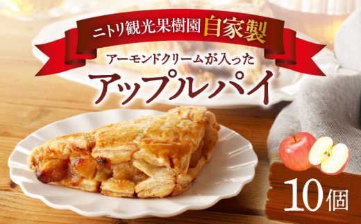ニトリ果樹園 自家製 アップルパイ 10個 - 北海道余市町｜ふるさと