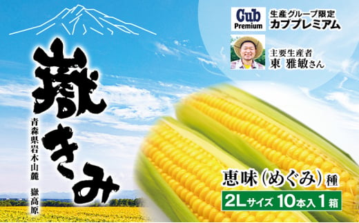 8月中旬より順次発送】青森県弘前市産 嶽きみ (だけきみ) 2Lサイズ 10本 【 岩木山麓嶽高原産 とうもろこし 】 - 青森県弘前市｜ふるさとチョイス  - ふるさと納税サイト