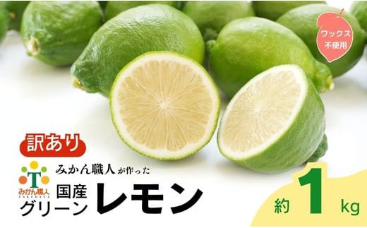 訳あり レモン（グリーンレモン） 1kg りのか 減農薬 レモン 柑橘 檸檬 果物 くだもの 果実 国産 フルーツ 有名 愛媛 みかん職人武田屋  愛媛県産 ビタミン 直送 産直 無添加 ジュース 発送期間:8月中旬～11月中旬 お試し 試供品 少量 5000円 愛媛県 愛南町 - 愛媛県 ...