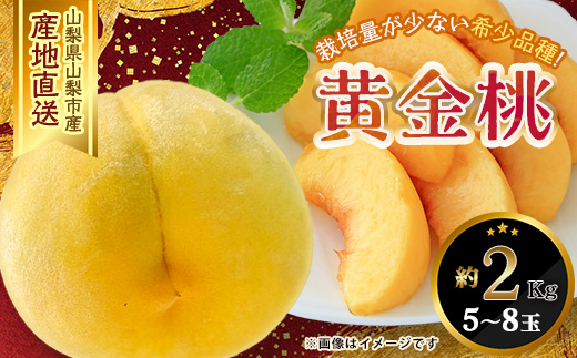 ふるさと納税 岡山県 赤磐市 桃 2024年 先行予約 清水 白桃 1.5kg 5〜6玉 もも モモ 岡山 国産 フルーツ 果物 ギフト 桃茂実苑 ふるさと納税 岡山県 赤磐市 桃 2024年 先行予約 おかやま 夢 白桃 5