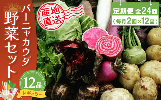 【佐賀県神埼市】年間定期便24回 バーニャカウダ野菜セットレギュラー 12品 【有機野菜 おまかせ野菜セット イタリア野菜 西洋野菜 定期便】(H078144)