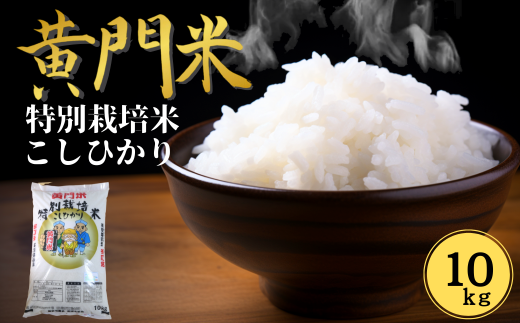 新米先行予約 令和6年産】 黄門米 コシヒカリ 白米 10kg 【9月下旬以降発送】 黄門米 コシヒカリ 白米 10kg 令和6年産 新米 茨城県産  常陸太田市 コシヒカリ こしひかり 10kg 10キロ 米 こめ コメ お米 白米 精米 お取り寄せ 贈答 人気 ランキング ごはん 贈り物 10キロ