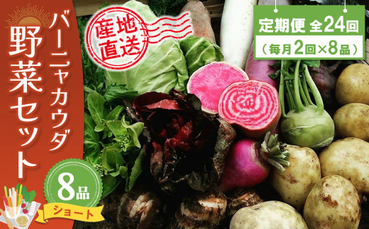 【佐賀県神埼市】年間定期便24回 バーニャカウダ野菜セットショート 8品 【有機野菜 おまかせ野菜セット イタリア野菜 西洋野菜 定期便】(H078142)