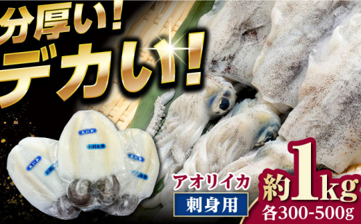 イカの王様！ アオリイカ 刺身用 約1kg（2～3枚入） 《対馬市》【対馬新鮮組】 高級 肉厚 水いか 新鮮 海鮮 冷凍配送 [WCS004] -  長崎県対馬市｜ふるさとチョイス - ふるさと納税サイト