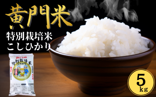 令和6年産】通常便 1回 黄門米 特別栽培米 コシヒカリ 白米5kg 令和6年産】通常便 1回 黄門米 特別栽培米 コシヒカリ 白米5kg