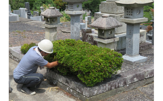 1643 お墓清掃、供花代行サービス【鳥取市営墓地限定】 - 鳥取県鳥取市｜ふるさとチョイス - ふるさと納税サイト