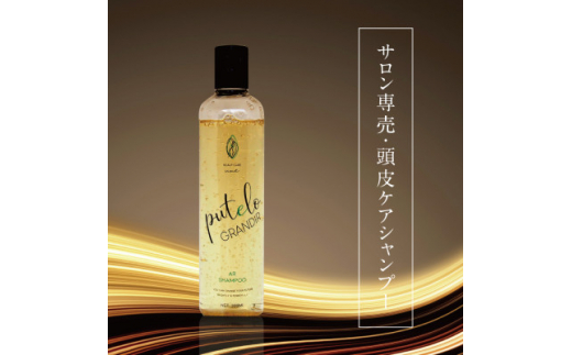 プテロ AR シャンプー 　グランディール　 700ml プテロ ＡＲシャンプー グランディール 700ml - メルカリ