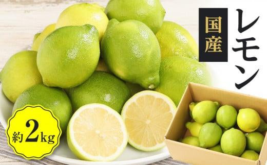 y쌧sz@2kgy2025N11{`2026N4{zz