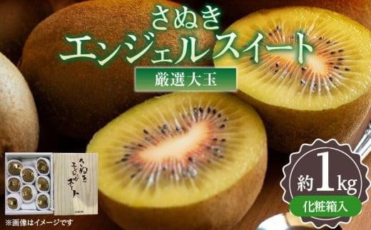 y쌧szI ʂGWFXC[g ϔ 1kgy2025N11{`2026N2{zz